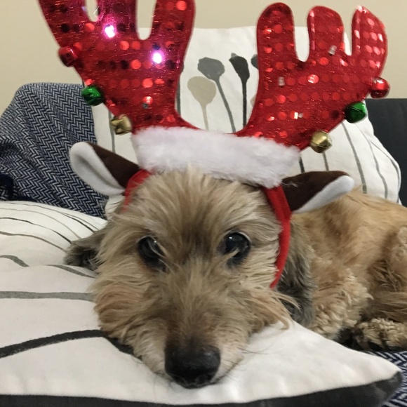 Meet your Posher, Sharon - Picture 2 of 2